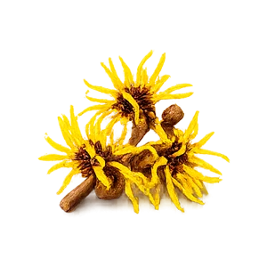 Variquit Pro — Hamamelis
